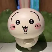 ねこさんの画像