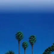 ykの画像