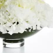 りんご8739の画像
