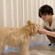 Shirahama_ayuli