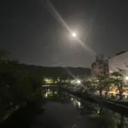 幸