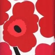 ソフネットの画像