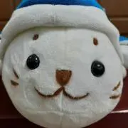 ふーの画像