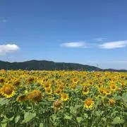 つぶあんの画像