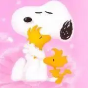 たんたん