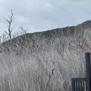 持丸