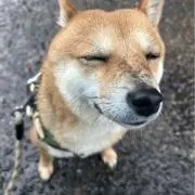 azu mullarの画像