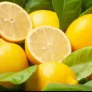 Lemonの画像