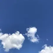 snow ※10/23-31発送対応不可の画像