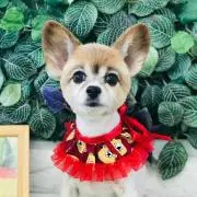 美優　プロフィール確認お願いしますの画像