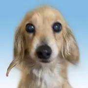 れくんの画像