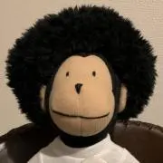 アフロさるの画像