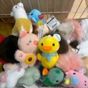 ひよこの画像