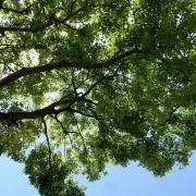 green & blueの画像