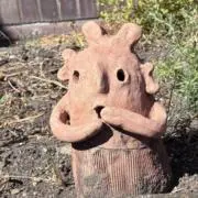 まろんの画像