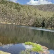 STTYの画像
