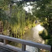 葵　⚠プロフィール必読の画像