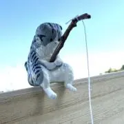 あきよしの画像