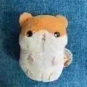 ピンクみかん