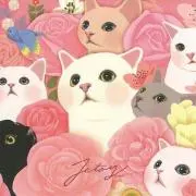 zmk's shopの画像