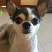 9SOの画像