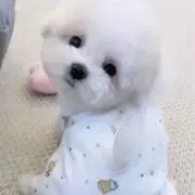 あ♡の画像
