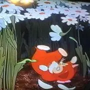 はりねずみ