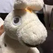 ベビコ♪の画像
