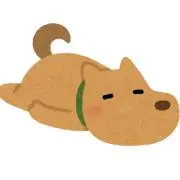 いぬの画像