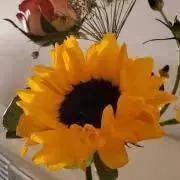 MMの画像
