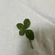 りー