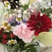 さちこの画像