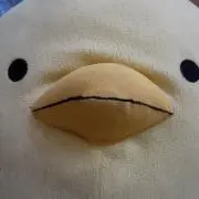 STARSの画像