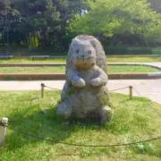 sotisの画像