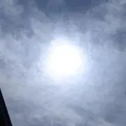 ロック丸太の画像