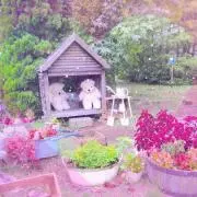 みーちゃん