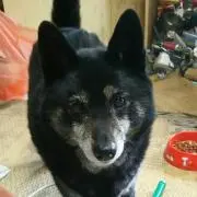 TERU