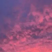 Jの画像