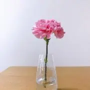 mima_ まとめ買いで値引き検討しますの画像