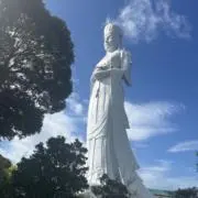 Otの画像