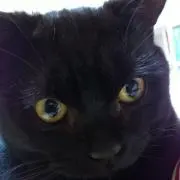 俺達