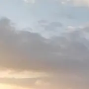 つばめの画像