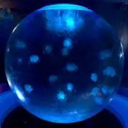 一樹【プロフ必読】の画像