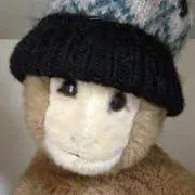 コダックの画像