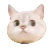 おんの画像