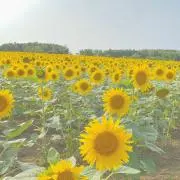 yu____nの画像