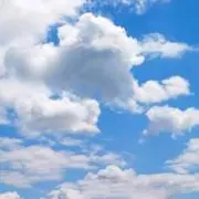 momoの画像