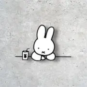 miffy☺︎︎の画像