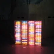 ぺいの画像