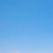 たかー